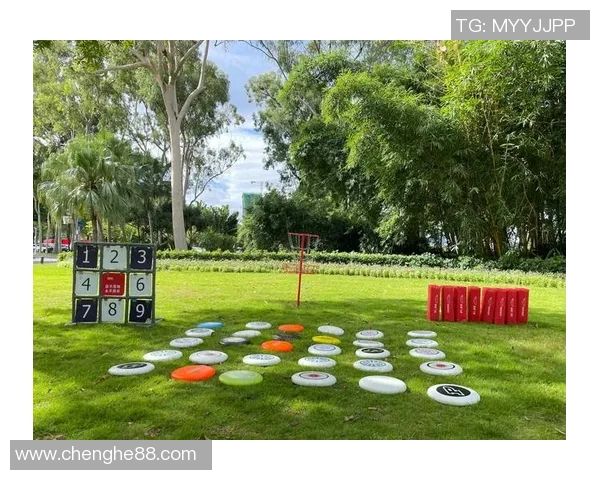 飞盘新手必看:全面解析飞盘技术与实战技巧的入门指南